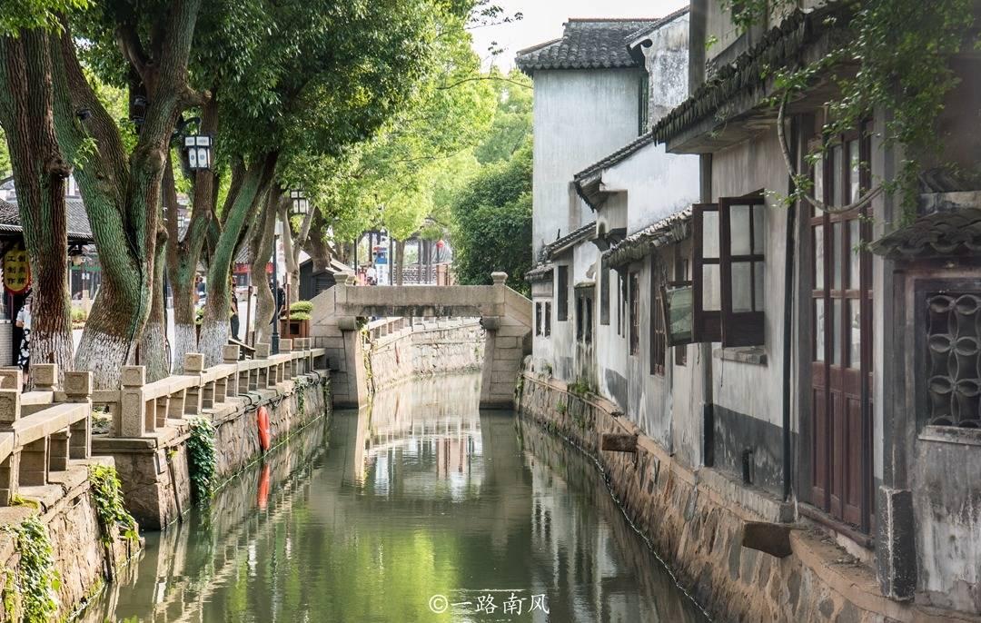 动物家园守卫战