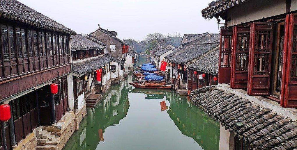 植物大战僵尸16